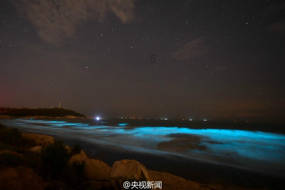 机智问答网页-别人说身兼数职该怎么回复?高效解答你的问题